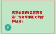 灵芝岩黄连(灵芝岩黄连：古老草本配方的护肝秘方)