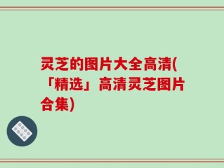 灵芝的图片大全高清(「精选」高清灵芝图片合集)