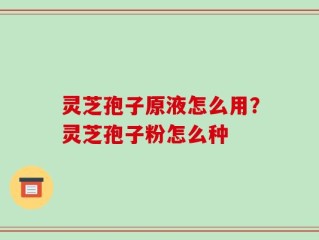 灵芝孢子原液怎么用？灵芝孢子粉怎么种