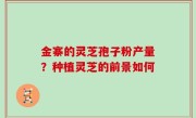 金寨的灵芝孢子粉产量？种植灵芝的前景如何