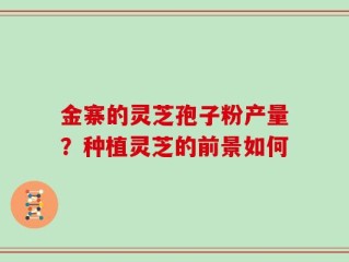金寨的灵芝孢子粉产量？种植灵芝的前景如何