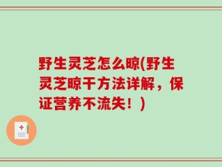 野生灵芝怎么晾(野生灵芝晾干方法详解，保证营养不流失！)