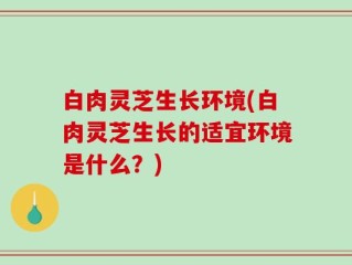 白肉灵芝生长环境(白肉灵芝生长的适宜环境是什么？)