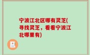 宁波江北区哪有灵芝(寻找灵芝，看看宁波江北哪里有)