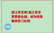 潜江灵芝草(潜江灵芝草震撼全国，成为疫情期间热门红利