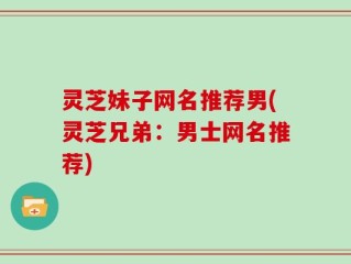 灵芝妹子网名推荐男(灵芝兄弟：男士网名推荐)