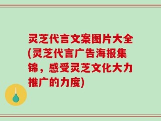 灵芝代言文案图片大全(灵芝代言广告海报集锦，感受灵芝文化大力推广的力度)