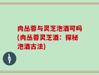 肉丛蓉与灵芝泡酒可吗(肉丛蓉灵芝酒：探秘泡酒古法)