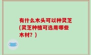 有什么木头可以种灵芝(灵芝种植可选用哪些木材？)
