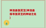 神池县张灵芝(神池县探寻张灵芝的神秘之处)