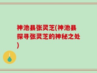 神池县张灵芝(神池县探寻张灵芝的神秘之处)
