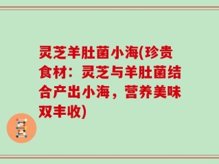 灵芝羊肚菌小海(珍贵食材：灵芝与羊肚菌结合产出小海，营养美味双丰收)