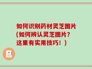 如何识别药材灵芝图片(如何辨认灵芝图片？这里有实用技巧！)
