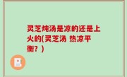 灵芝炖汤是凉的还是上火的(灵芝汤 热凉平衡？)