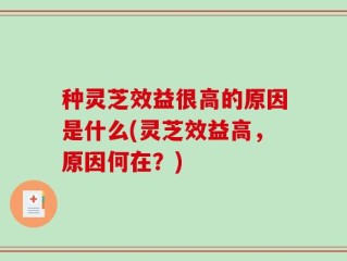 种灵芝效益很高的原因是什么(灵芝效益高，原因何在？)