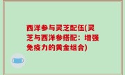 西洋参与灵芝配伍(灵芝与西洋参搭配：增强免疫力的黄金组合)