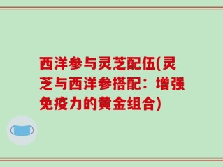 西洋参与灵芝配伍(灵芝与西洋参搭配：增强免疫力的黄金组合)