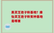 黑灵芝孢子粉基地？康怡灵芝孢子粉育种基地是哪里