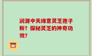 润源中天绿意灵芝孢子粉？探秘灵芝的神奇功效？
