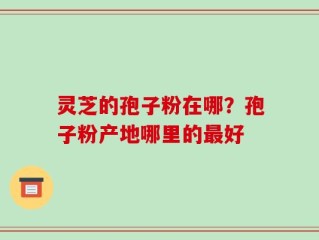 灵芝的孢子粉在哪？孢子粉产地哪里的最好