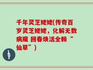千年灵芝姥姥(传奇百岁灵芝姥姥，化解无数病魔 回春焕活全赖“仙草”)