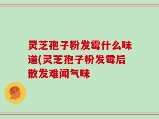 灵芝孢子粉发霉什么味道(灵芝孢子粉发霉后散发难闻气味