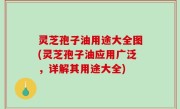 灵芝孢子油用途大全图(灵芝孢子油应用广泛，详解其用途大全)