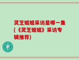 灵芝姐姐采访是哪一集(《灵芝姐姐》采访专辑推荐)