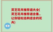 灵芝花卉推荐语大全(灵芝花卉推荐语合集，让你轻松选购适合的花卉)