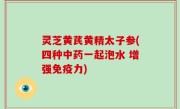 灵芝黄芪黄精太子参(四种中药一起泡水 增强免疫力)