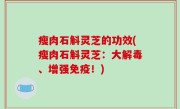 瘦肉石斛灵芝的功效(瘦肉石斛灵芝：大解毒、增强免疫！)