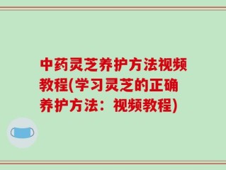 中药灵芝养护方法视频教程(学习灵芝的正确养护方法：视频教程)