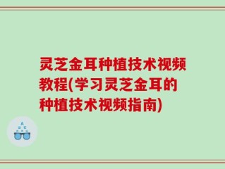 灵芝金耳种植技术视频教程(学习灵芝金耳的种植技术视频指南)