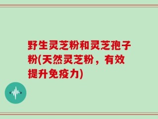 野生灵芝粉和灵芝孢子粉(天然灵芝粉，有效提升免疫力)