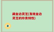 藏金边灵芝(发现金边灵芝的珍贵特性)