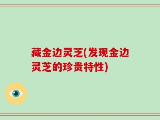 藏金边灵芝(发现金边灵芝的珍贵特性)