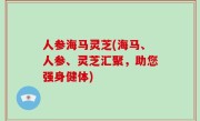 人参海马灵芝(海马、人参、灵芝汇聚，助您强身健体)
