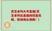 灵芝卓玛大号直播(灵芝卓玛在直播间惊喜亮相，现场观众沸腾！)
