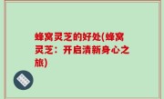 蜂窝灵芝的好处(蜂窝灵芝：开启清新身心之旅)