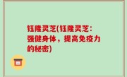 钰隆灵芝(钰隆灵芝：强健身体，提高免疫力的秘密)