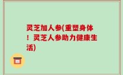 灵芝加人参(重塑身体！灵芝人参助力健康生活)