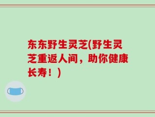 东东野生灵芝(野生灵芝重返人间，助你健康长寿！)