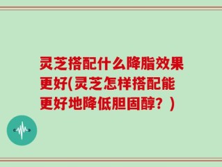 灵芝搭配什么降脂效果更好(灵芝怎样搭配能更好地降低胆固醇？)