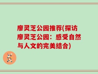 廖灵芝公园推荐(探访廖灵芝公园：感受自然与人文的完美结合)