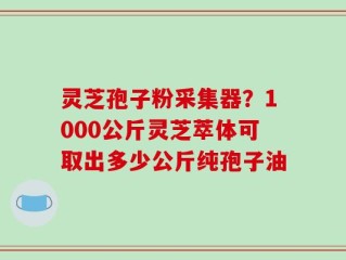 灵芝孢子粉采集器？1000公斤灵芝萃体可取出多少公斤纯孢子油