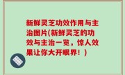 新鲜灵芝功效作用与主治图片(新鲜灵芝的功效与主治一览，惊人效果让你大开眼界！)