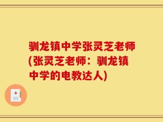 驯龙镇中学张灵芝老师(张灵芝老师：驯龙镇中学的电教达人)