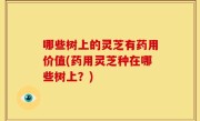 哪些树上的灵芝有药用价值(药用灵芝种在哪些树上？)