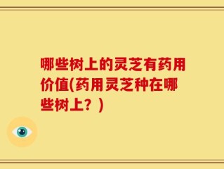 哪些树上的灵芝有药用价值(药用灵芝种在哪些树上？)