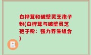 白桦茸和破壁灵芝孢子粉(白桦茸与破壁灵芝孢子粉：强力养生组合)